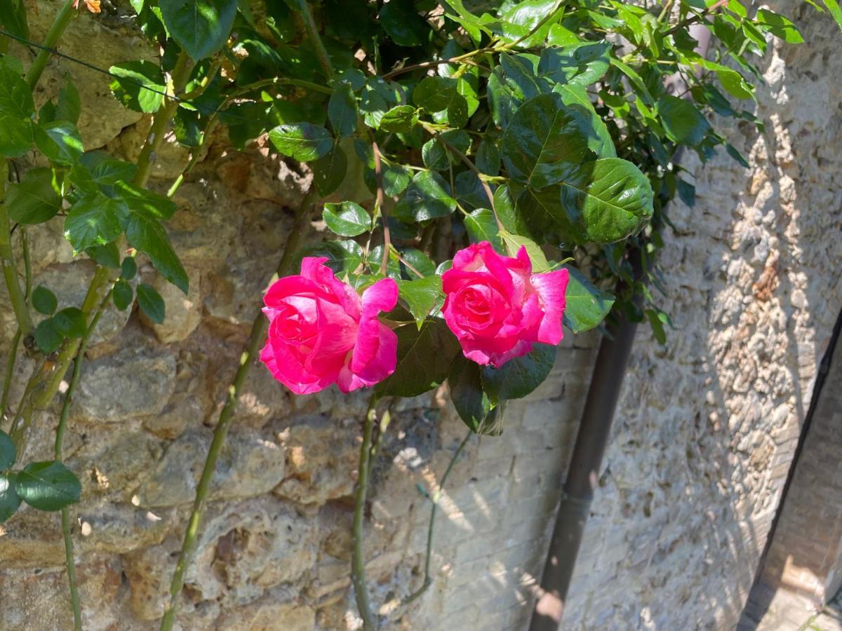 Castel Pietraio Βίλα Monteriggioni Εξωτερικό φωτογραφία